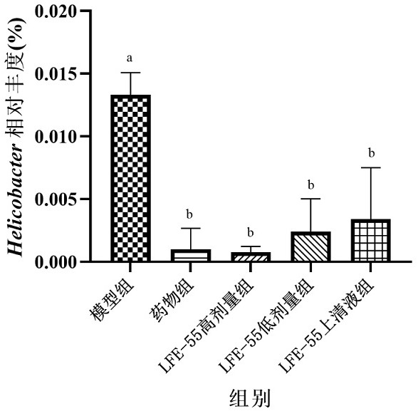 Lactobacillus fermentum for inhibiting helicobacter pylori and application thereof