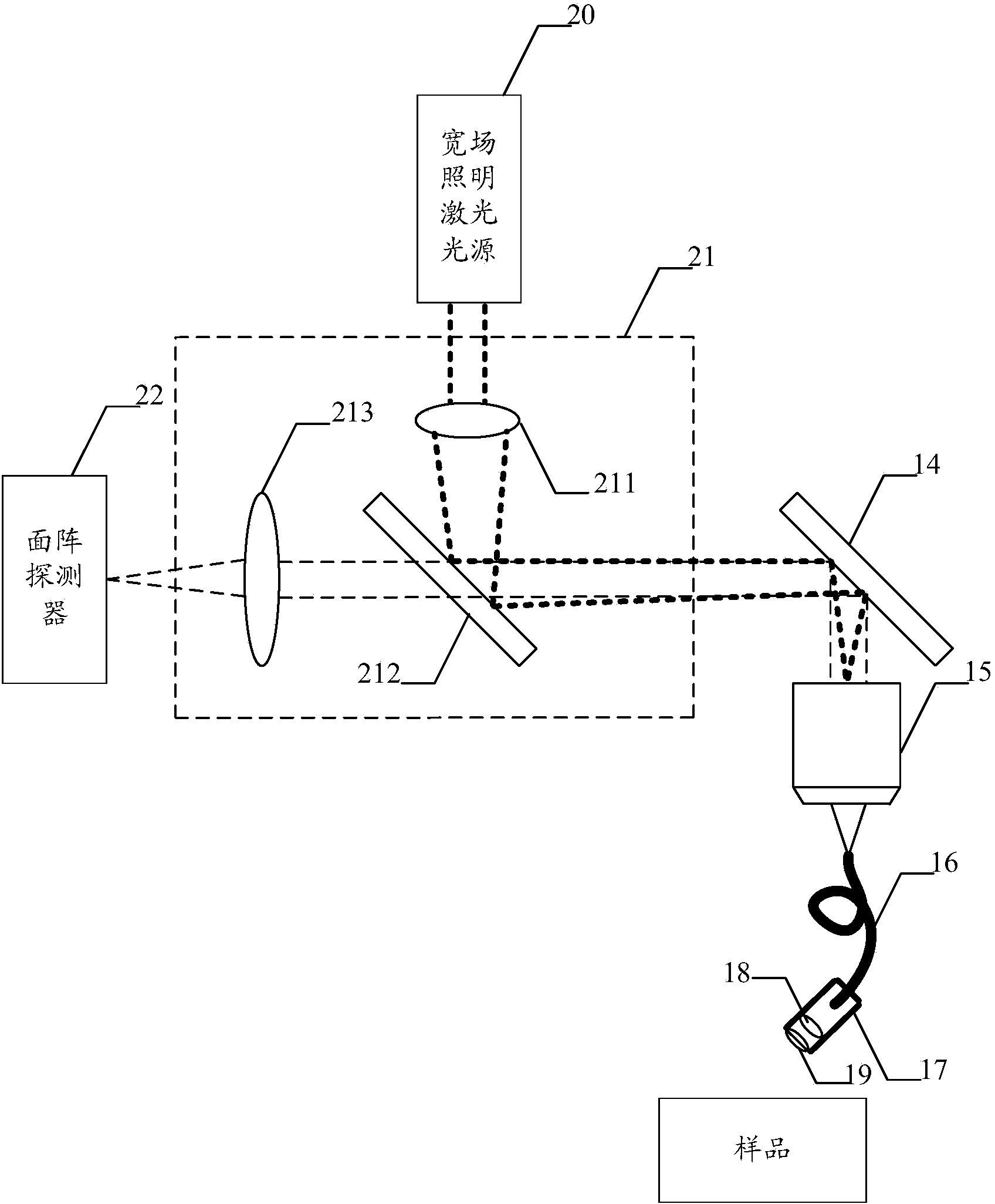 Laser scanning fluorescence confocal microscopic endoscopic imaging system