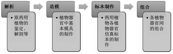 Method for making high simulation specimens of medicinal plants