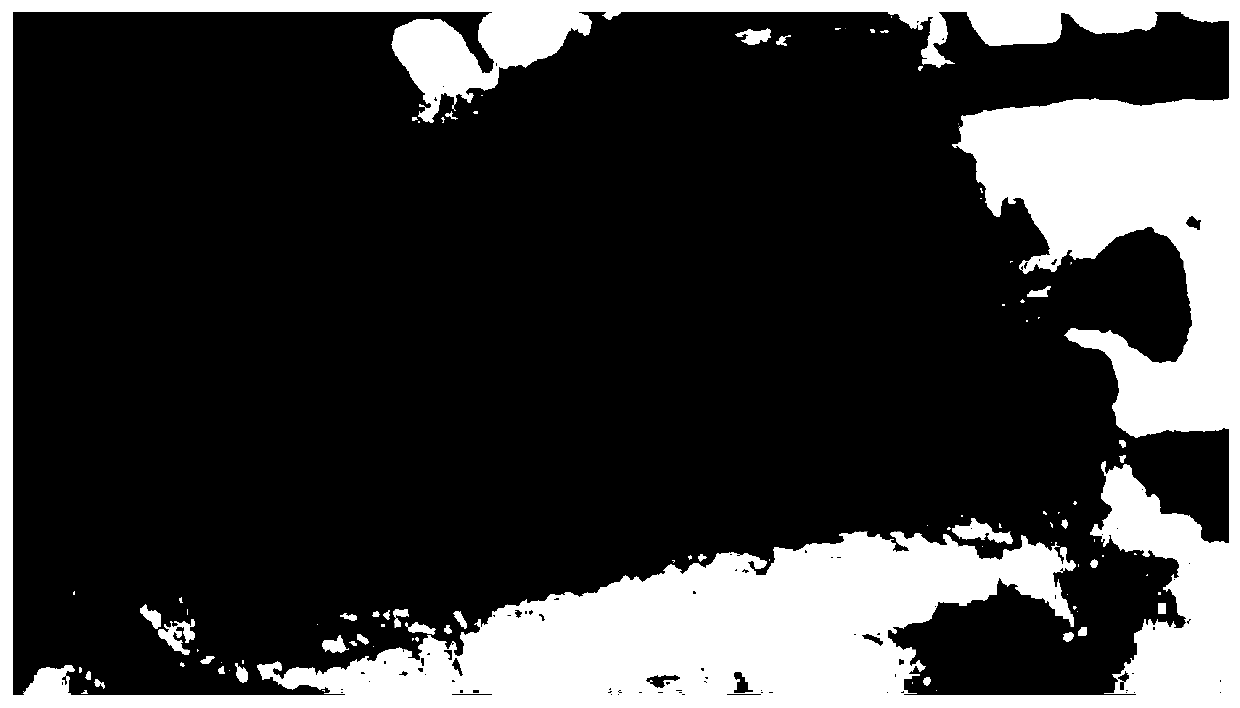 Method for preparing ham by coating method