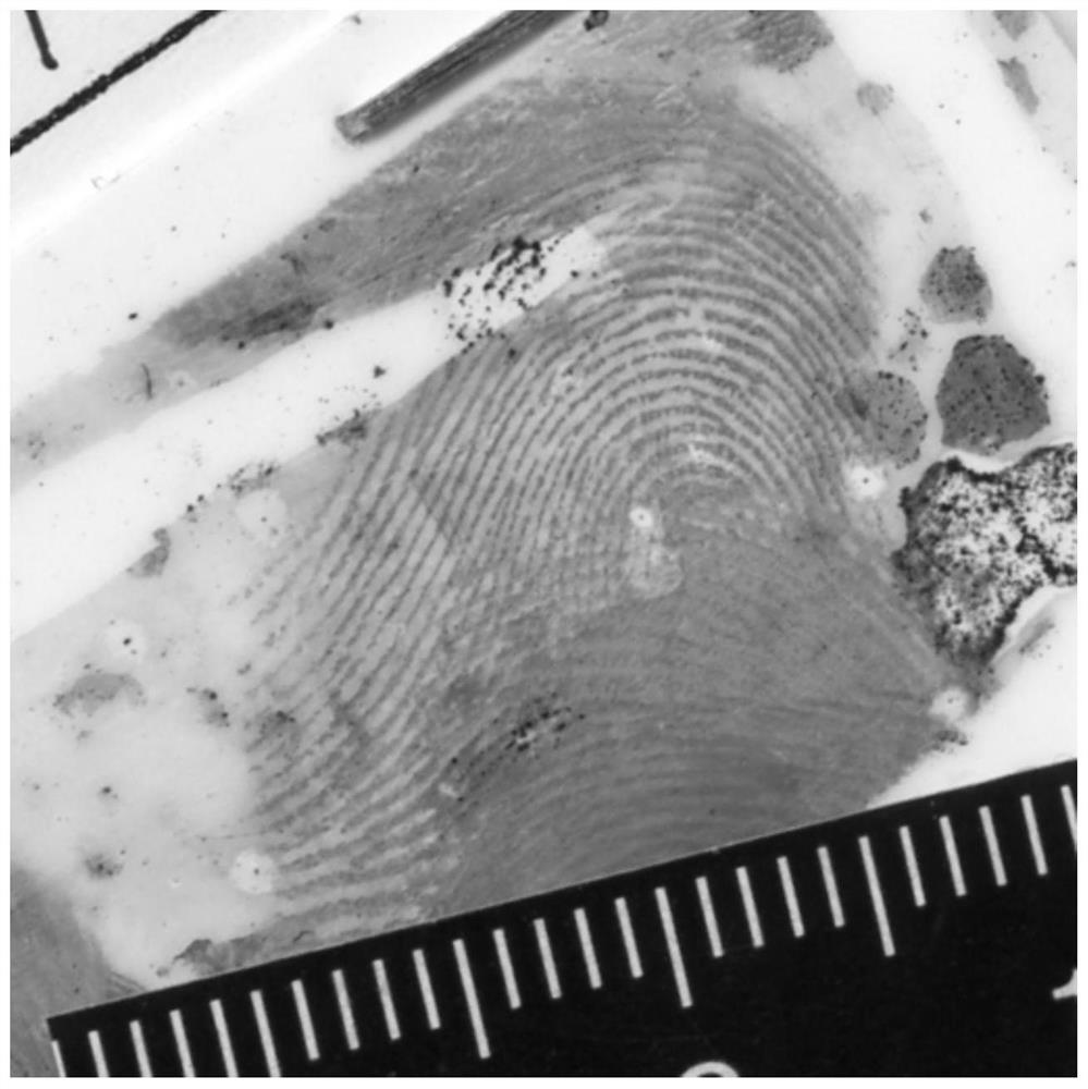 A Method of Quantitatively Calculating the Size of Fingerprint Deformation