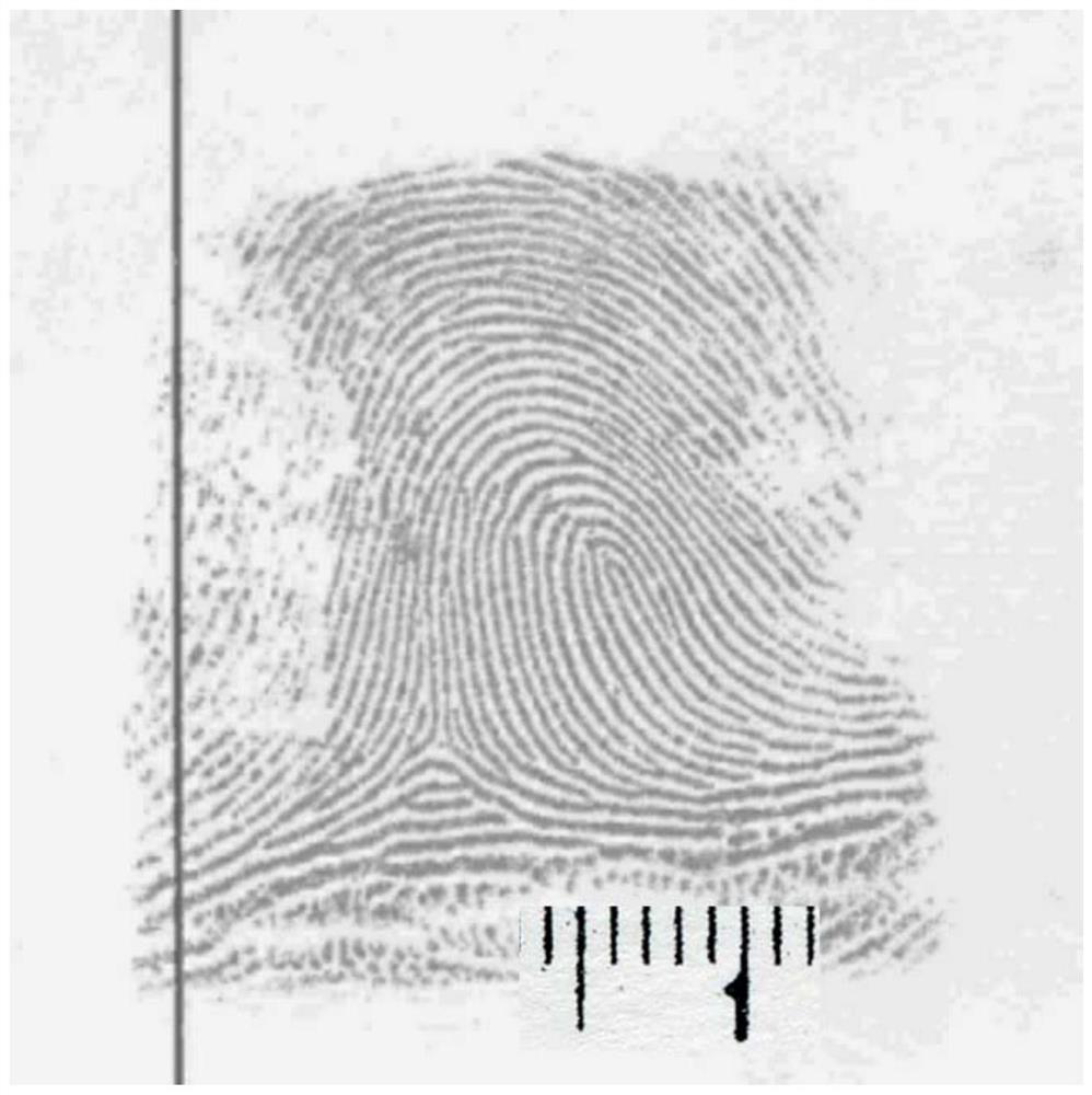 A Method of Quantitatively Calculating the Size of Fingerprint Deformation