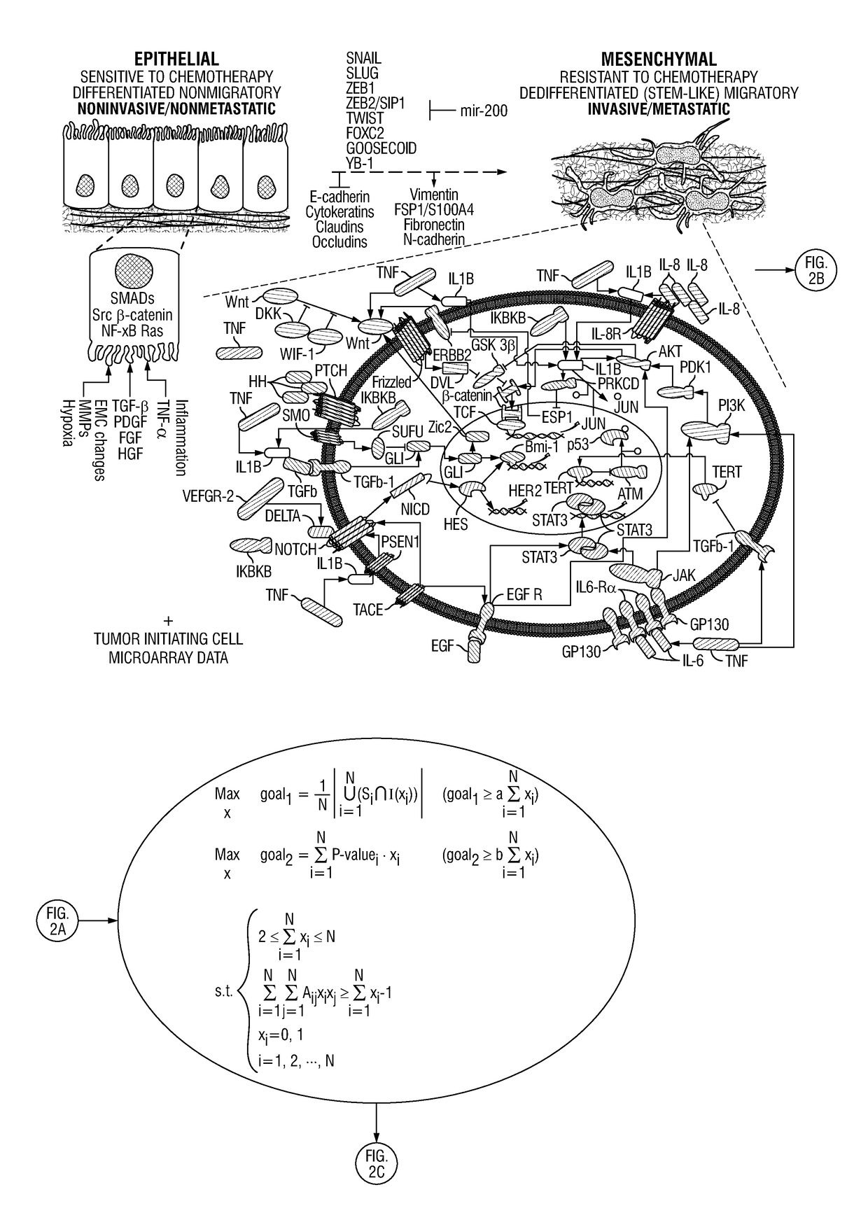 Drug repositioning methods for targeting breast tumor initiating cells