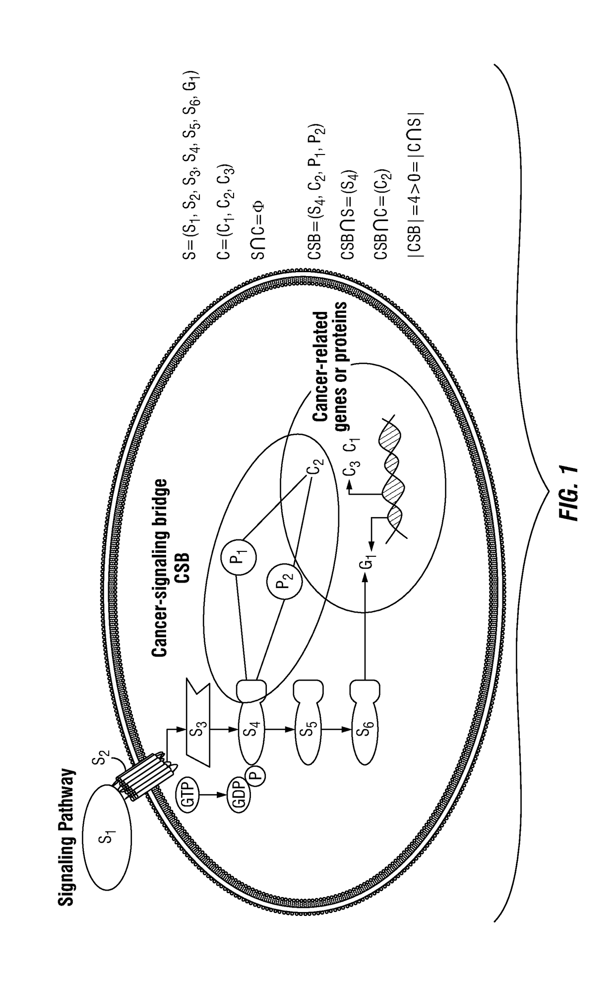 Drug repositioning methods for targeting breast tumor initiating cells