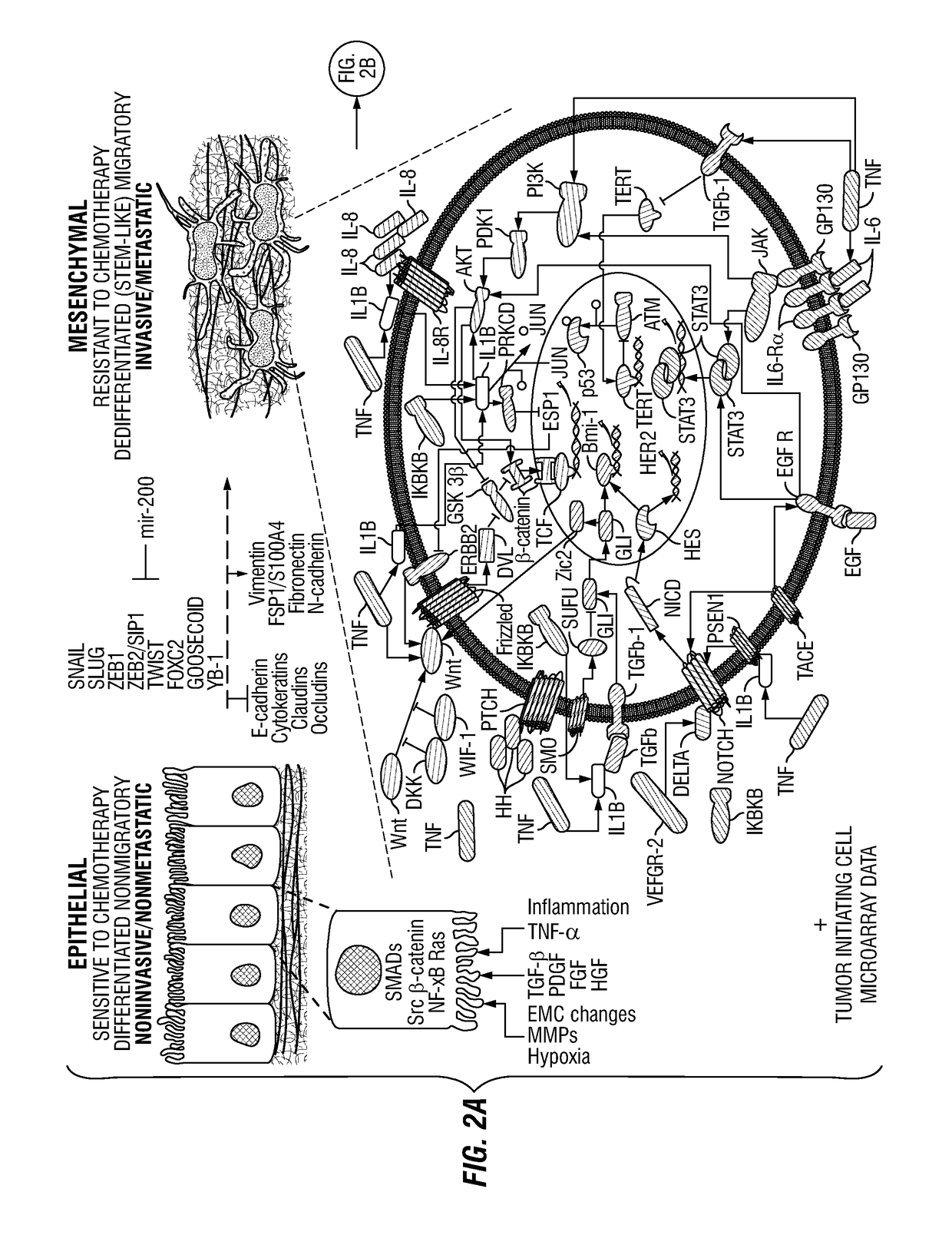 Drug repositioning methods for targeting breast tumor initiating cells