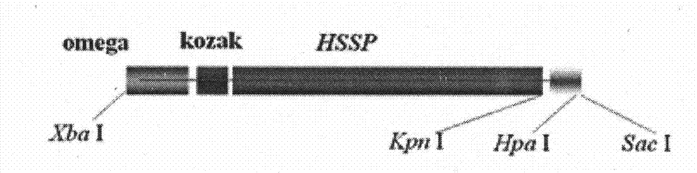 Artificial sequence for increasing methionine content of soy and plant expression vector thereof