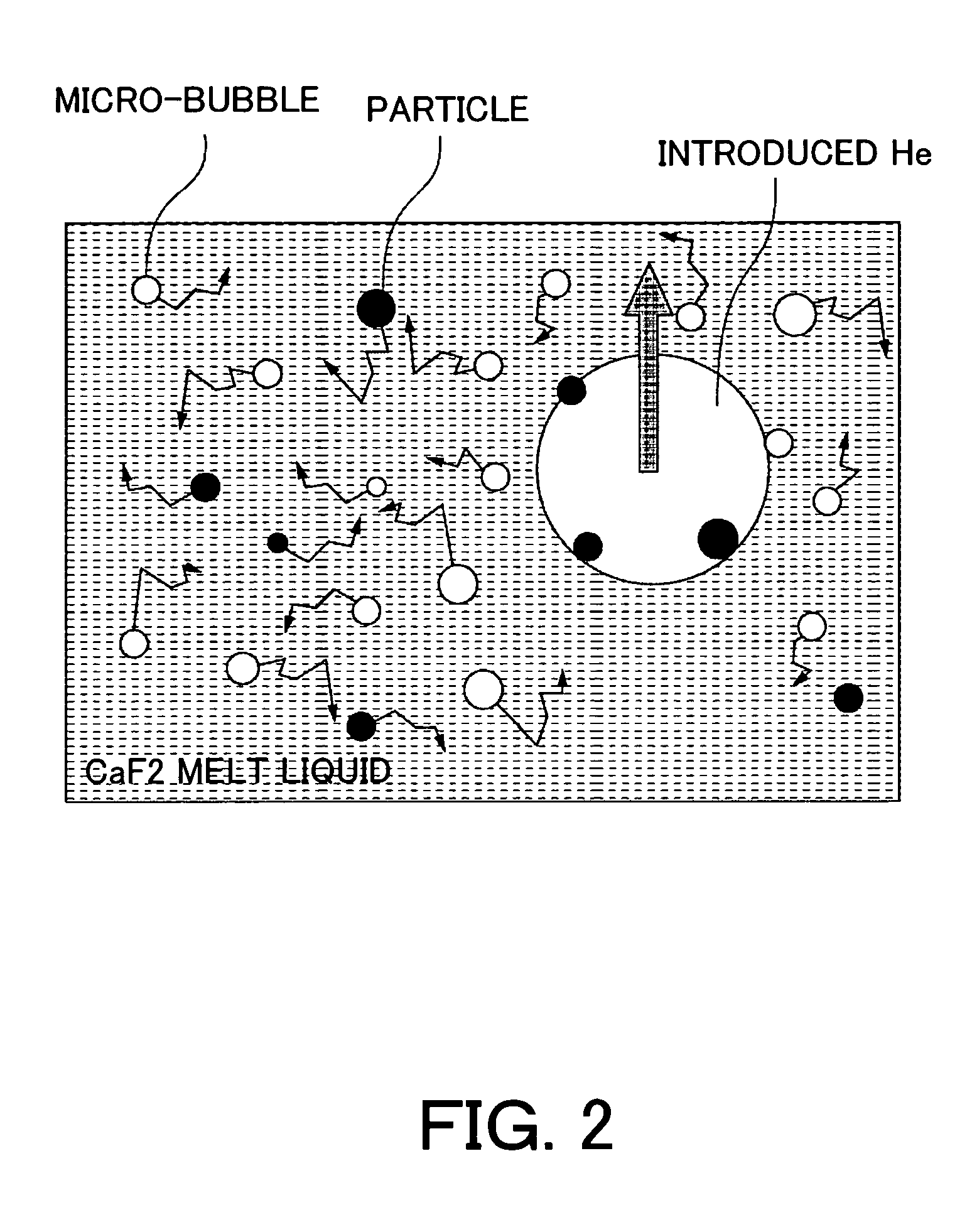 Crystallization method and crystallization apparatus