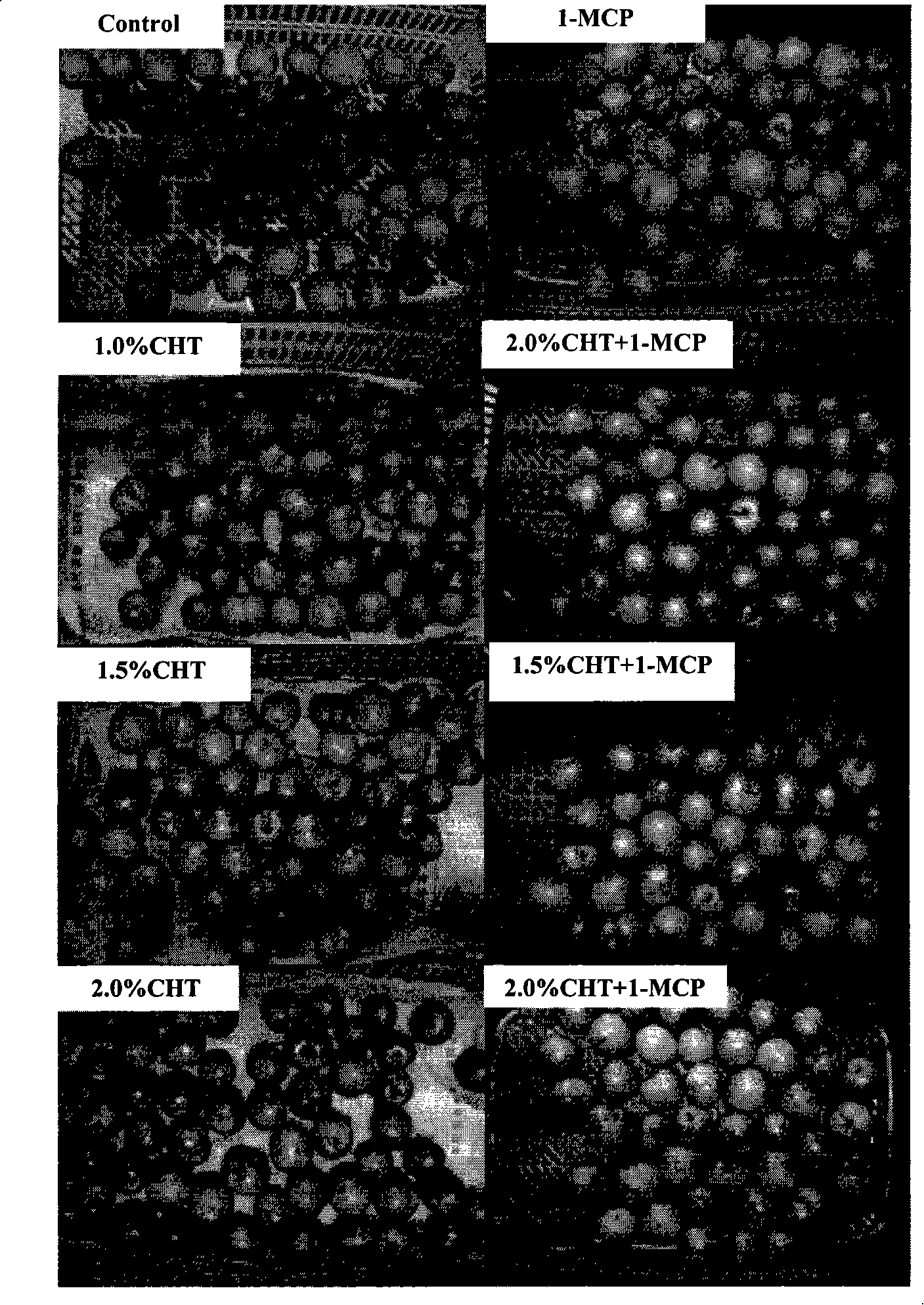 Fresh-keeping method of plum fruit