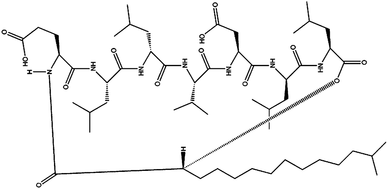 Detection method for number of multiple copies of SMN2 gene