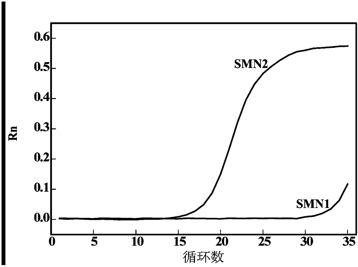 Detection method for number of multiple copies of SMN2 gene