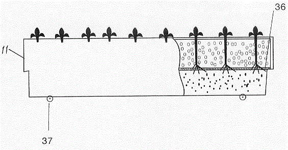 Greenhouse animal breeding and plant cultivation method and device