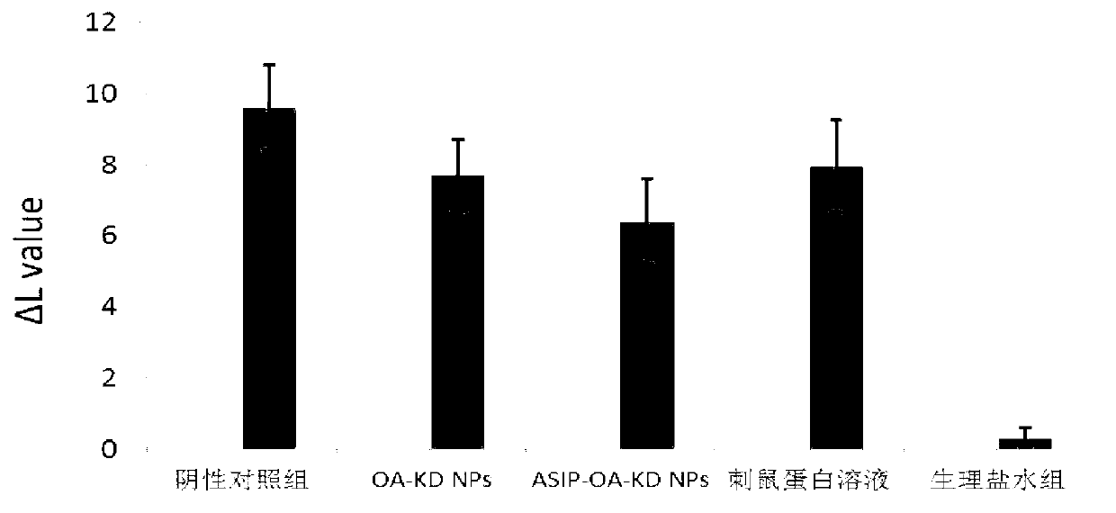 Transdermal delivery nano-preparation, and preparation method and application thereof