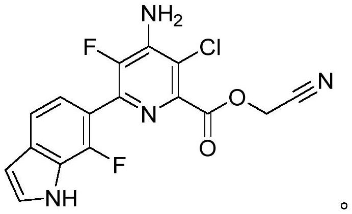Safe compositions comprising pyridine carboxylate herbicides and isoxadifen