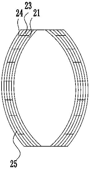 Deworming food bag and processing method thereof