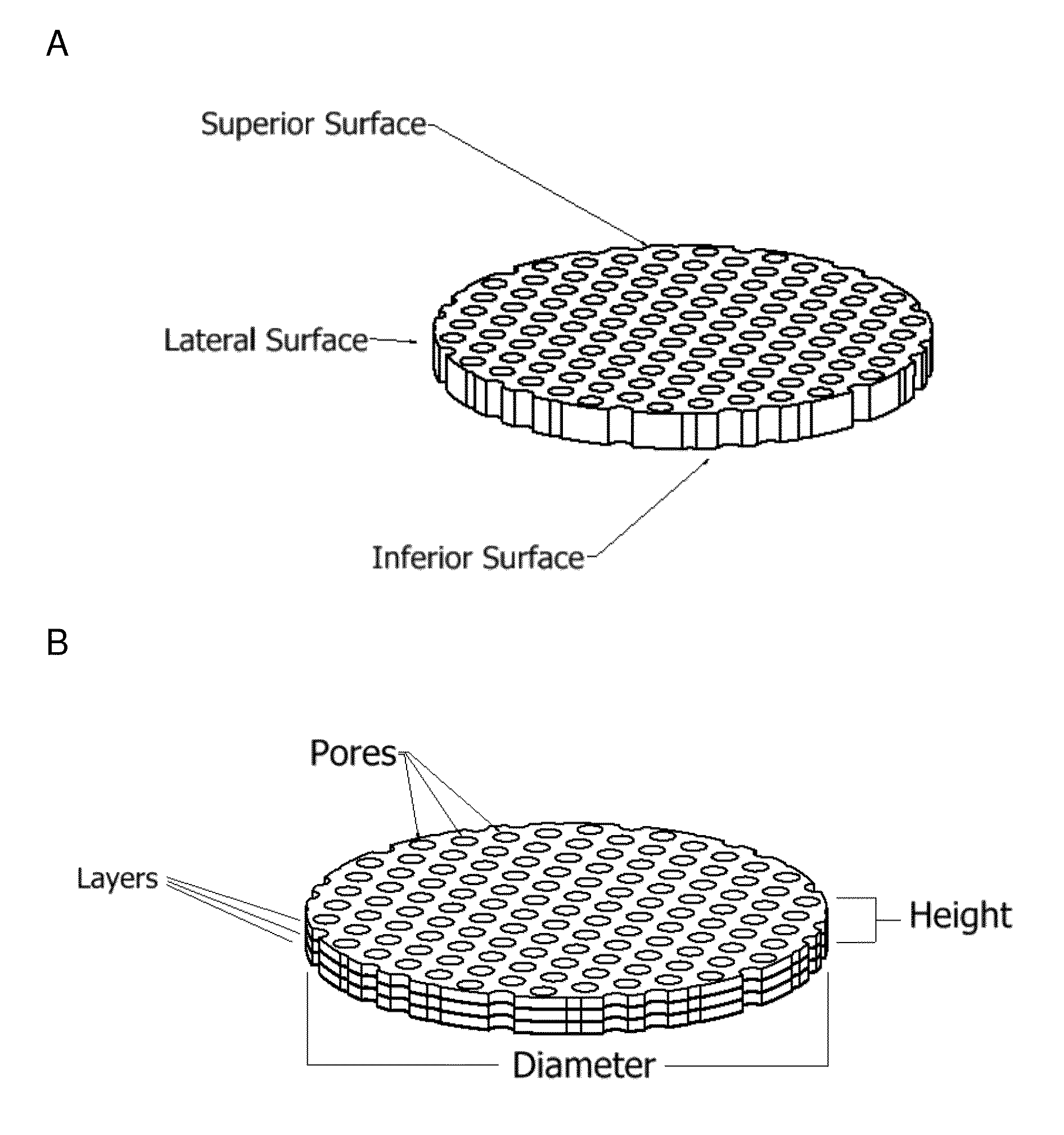 Disrupted cartilage products