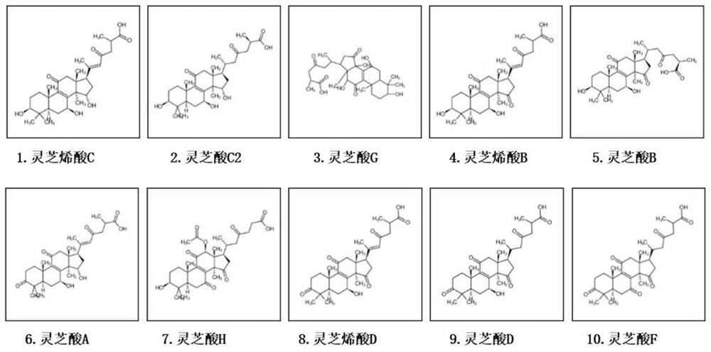 Application of ganoderic acid A and derivatives thereof or lucid ganoderma total triterpenes in preparation of medicines for treating eye diseases