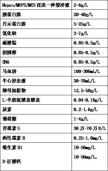 A culture medium for enriching ureaplasma, a protective agent for freeze-drying and preserving ureaplasma, a preparation method thereof, and a method for freeze-drying and preserving ureaplasma