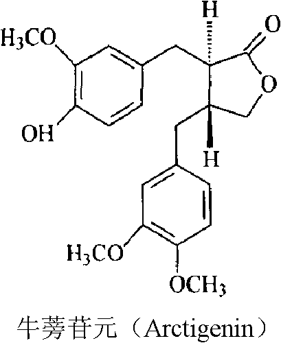 Solid dispersion of arctigenin and oral solid preparation