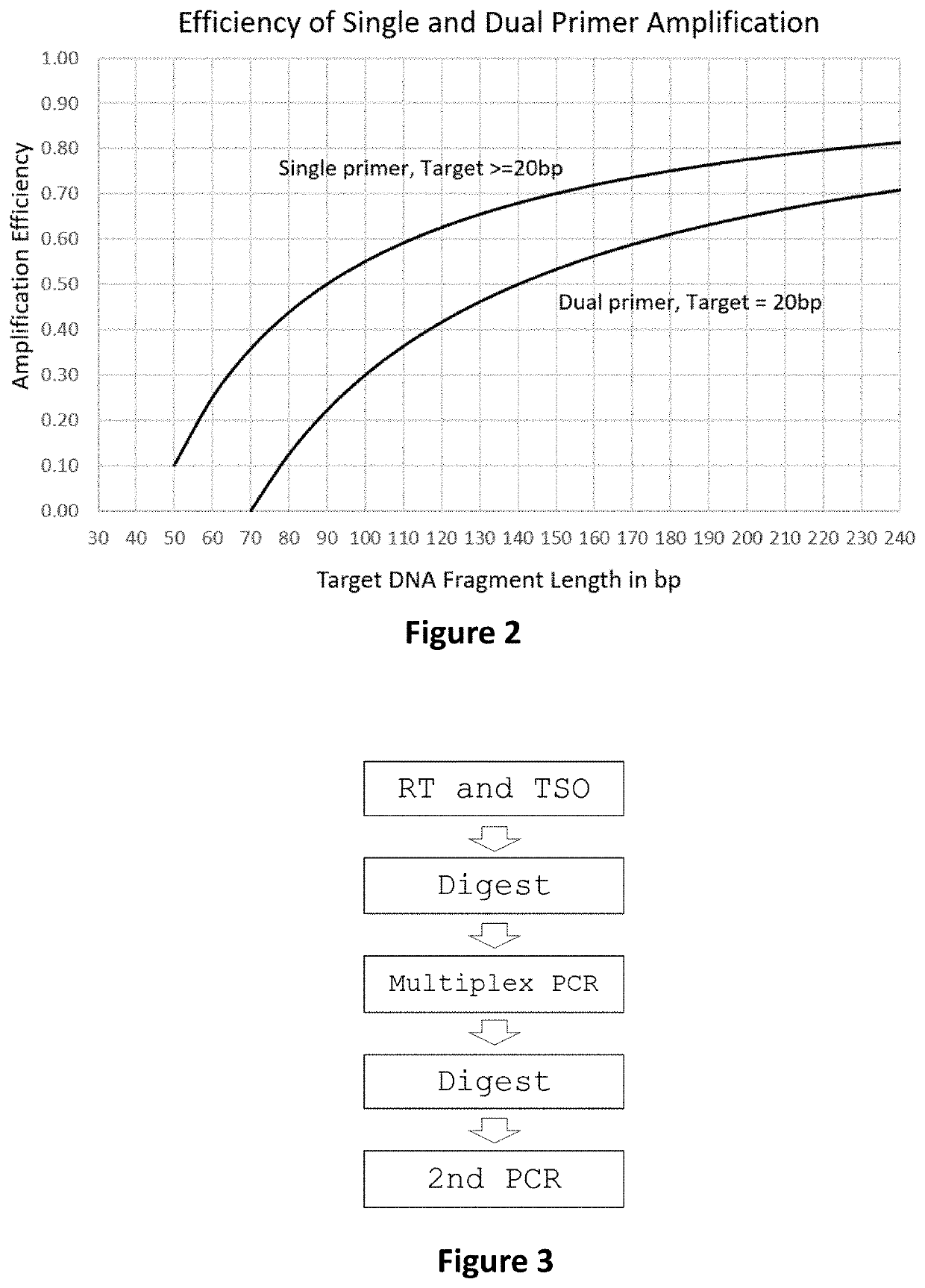 Methods and systems to amplify short RNA targets