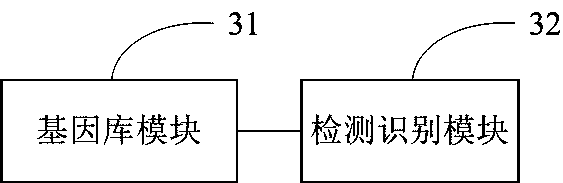 Malicious code detection and recognition method and device based on software genes