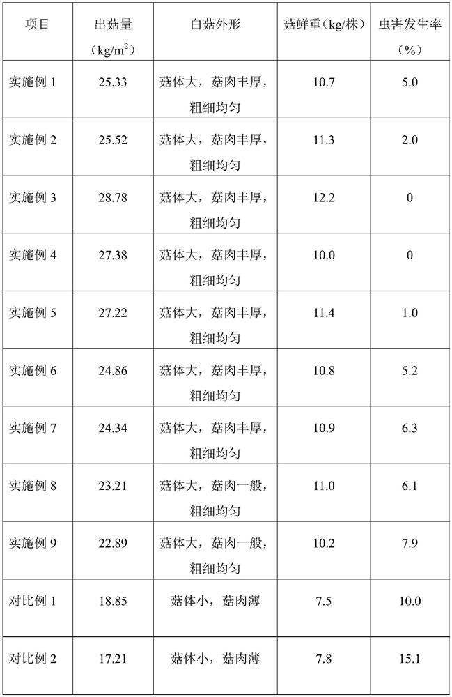 A kind of cultivation method of high-quality and high-yield white mushroom