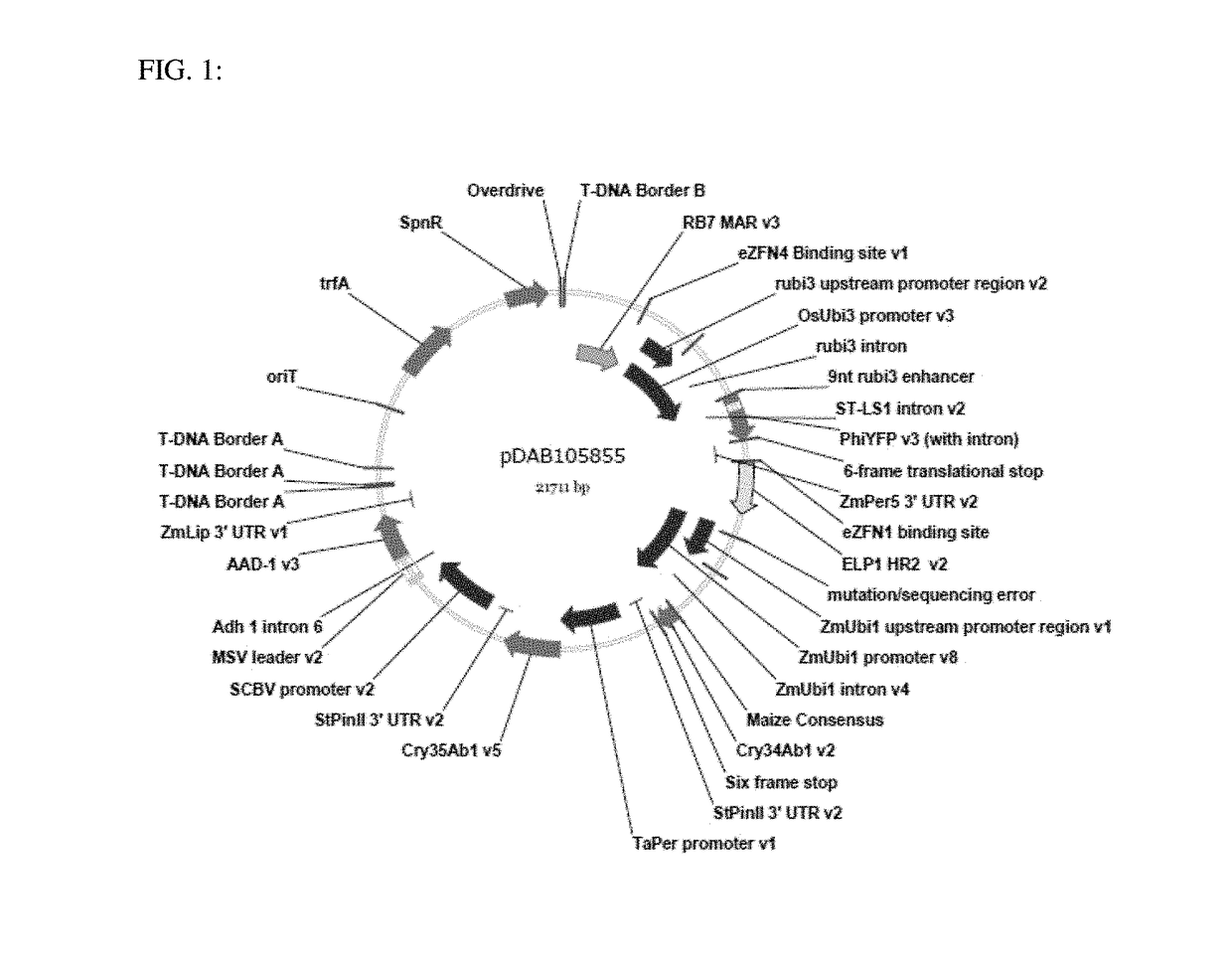 Methodologies and Compositions for Creating Targeted Recombination and Breaking Linkage Between Traits