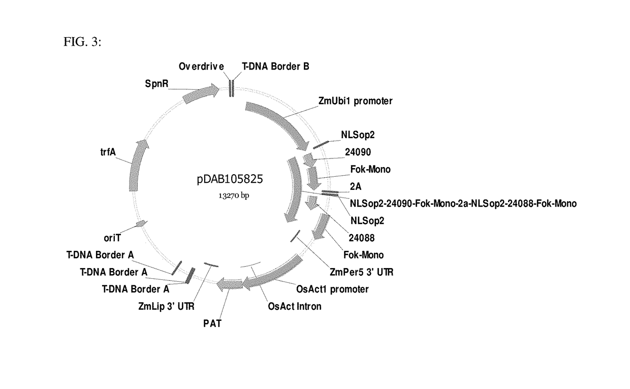 Methodologies and Compositions for Creating Targeted Recombination and Breaking Linkage Between Traits