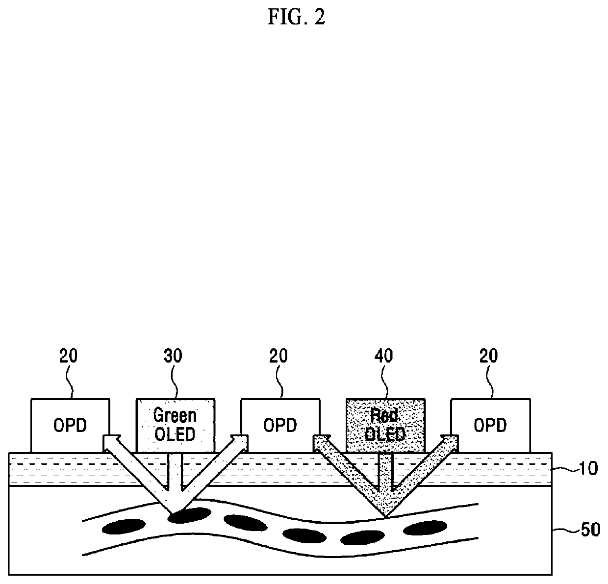 Bio-information detecting sensor