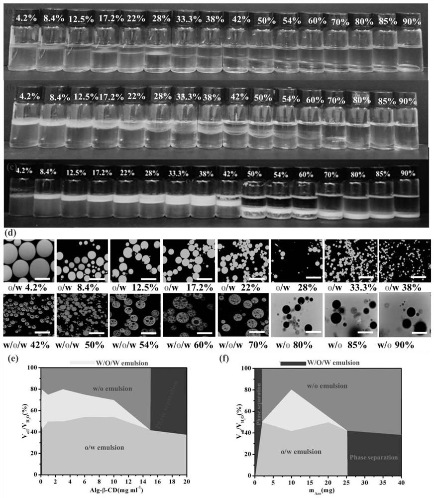 Method for preparing super-amphiphilic host-guest alginate-based anisotropic structure soft substance