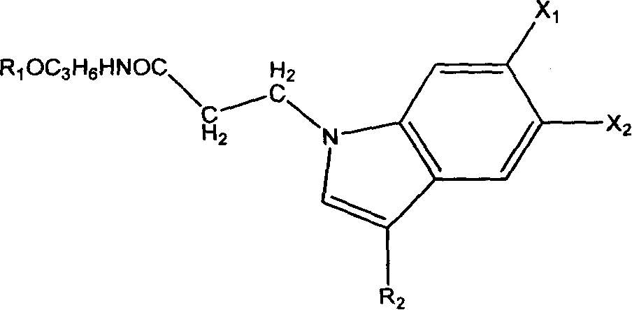 Amide derivative of indole, its preparation method and application