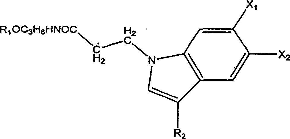 Amide derivative of indole, its preparation method and application