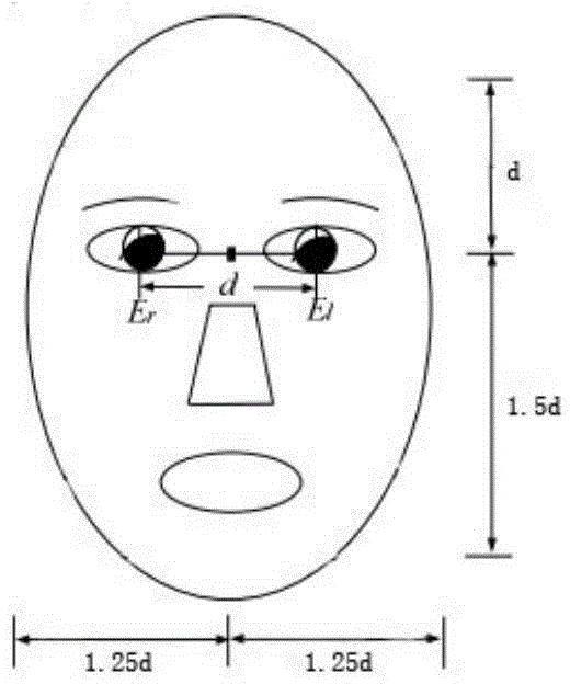 Identity recognition method based on fusion of face characteristic and palm print characteristic