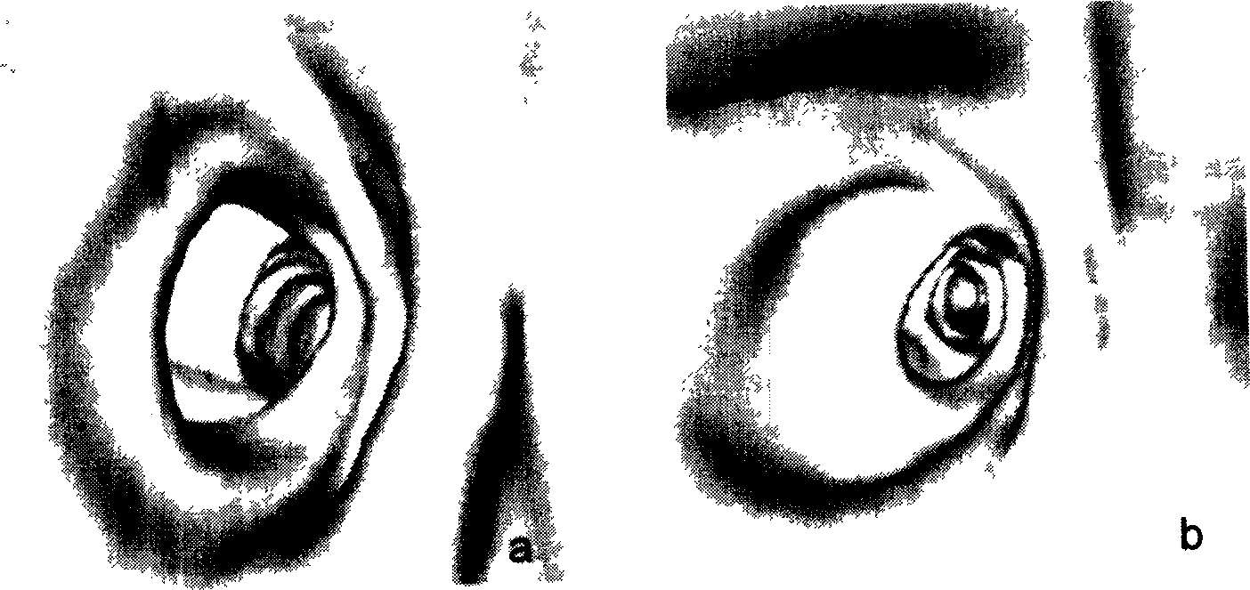 Center line automatic locating method of virtual endoscope system