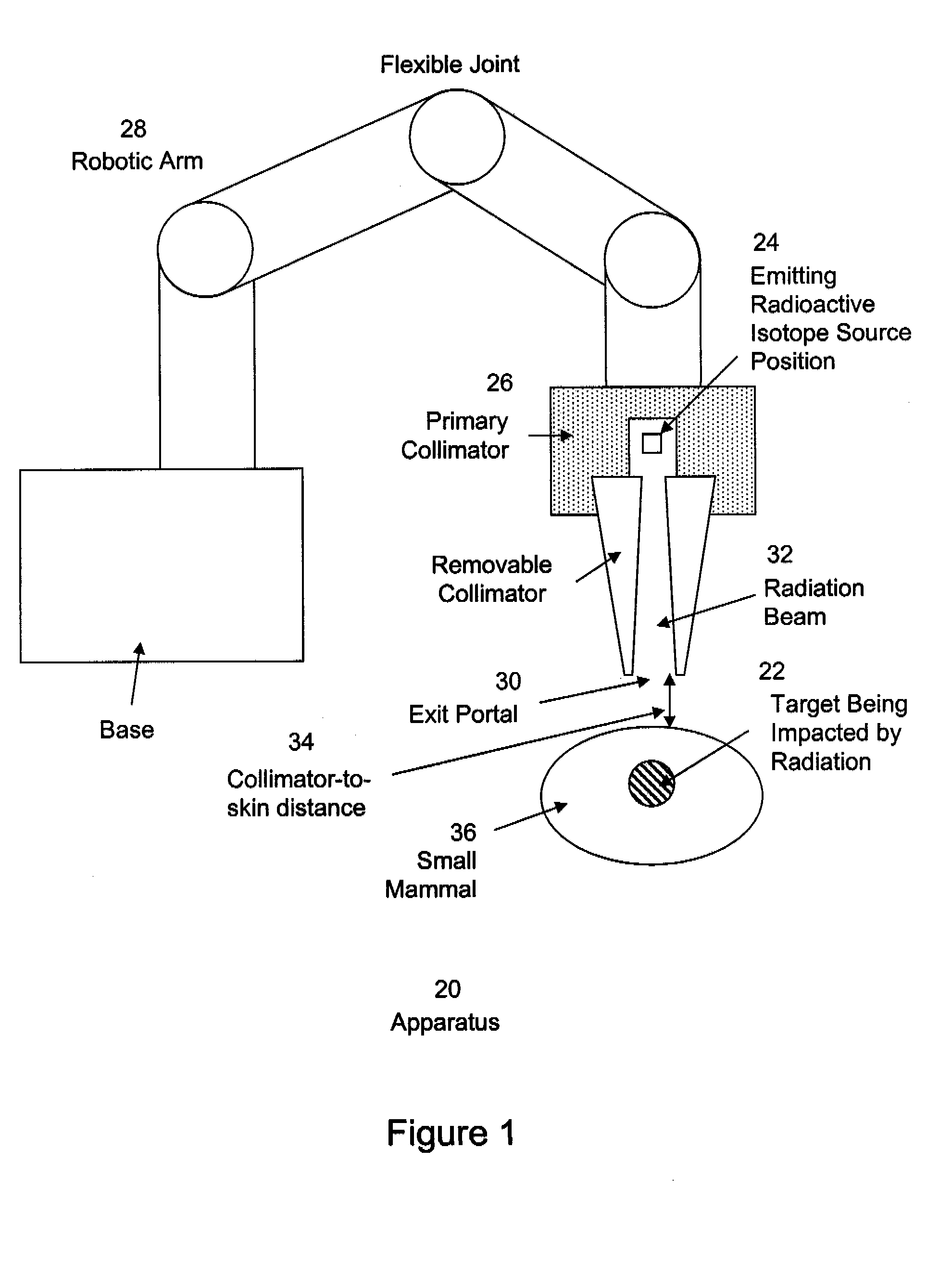 Enhanced micro-radiation therapy and a method of micro-irradiating biological systems