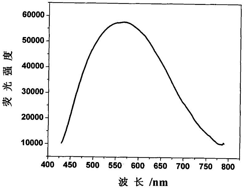 Macromolecular fluorescent microspheres and preparation method thereof