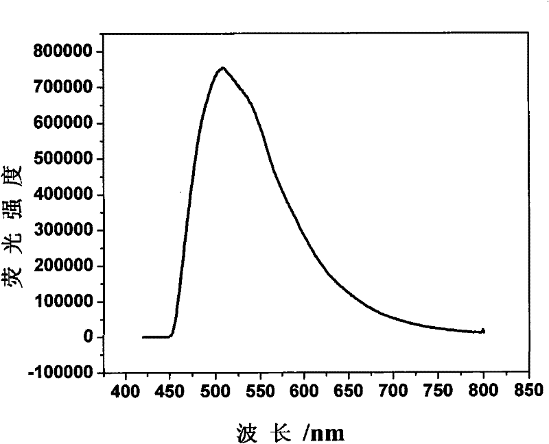 Macromolecular fluorescent microspheres and preparation method thereof