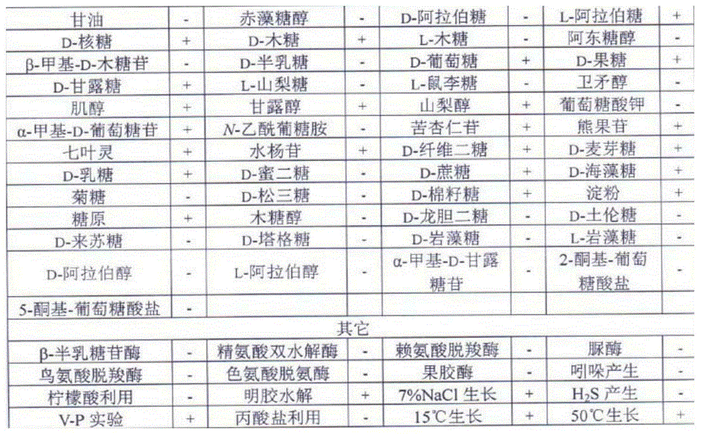 Bacillus amyloliquefaciens subsp. plantarum ZFH-3 and application thereof