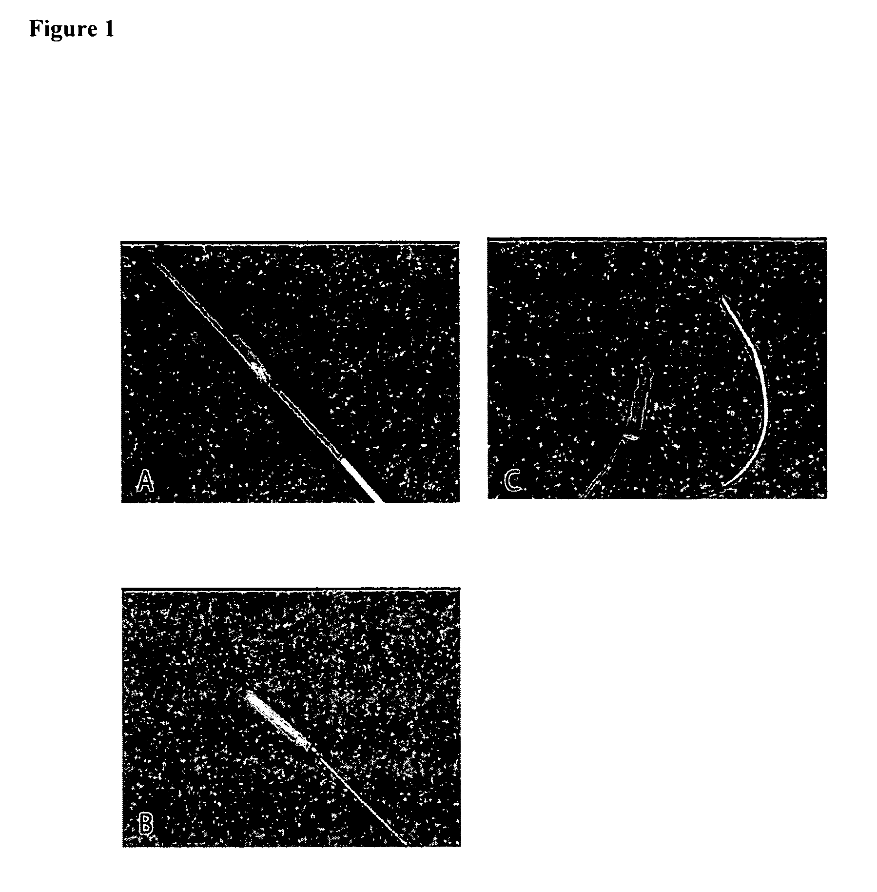 Micronized device for the delivery of biologically active molecules and methods of use thereof