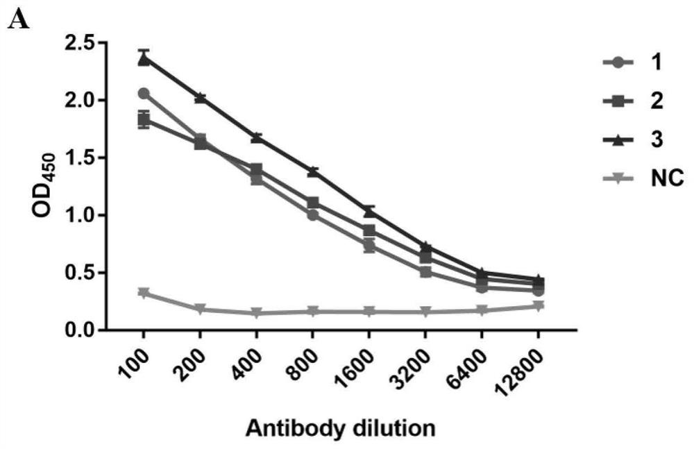 Double-antibody sandwich ELISA kit for detecting porcine acute diarrhea syndrome coronavirus