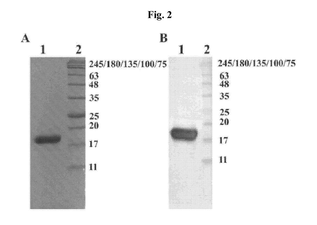 Methods and compositions for treating retinal disorders