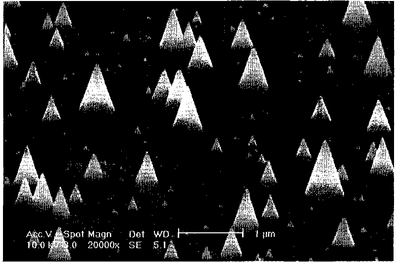 Azotized carbon nano cones and method for preparing same