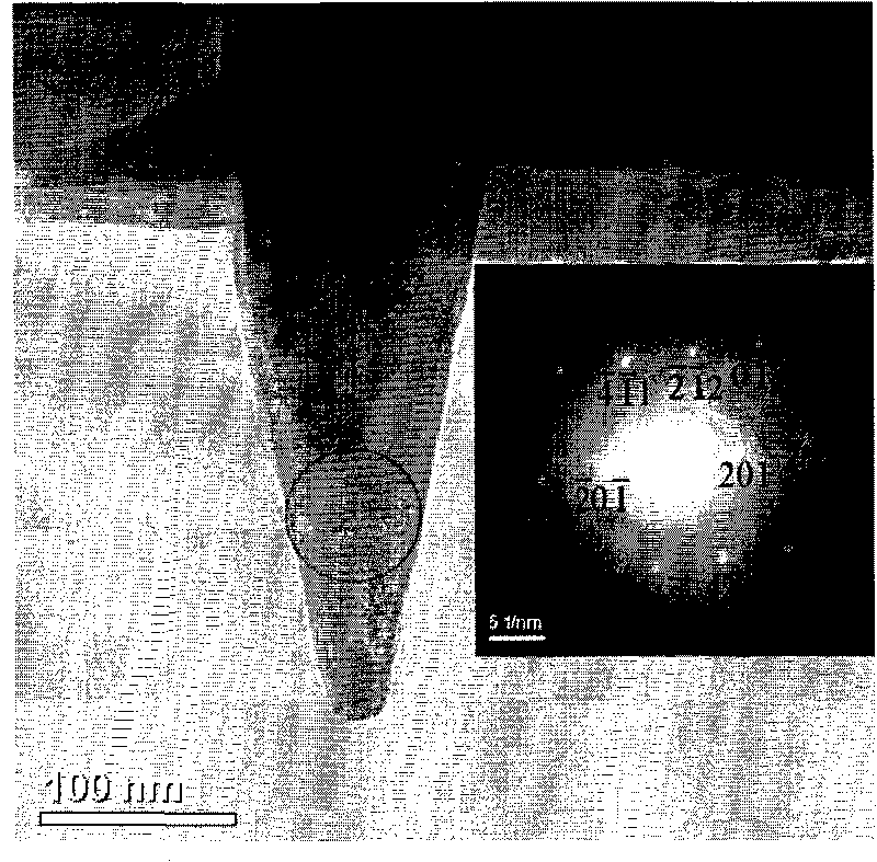 Azotized carbon nano cones and method for preparing same