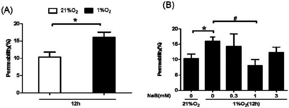 Application of sodium butyrate in preventing and curing high permeability of blood vessels and relevant diseases