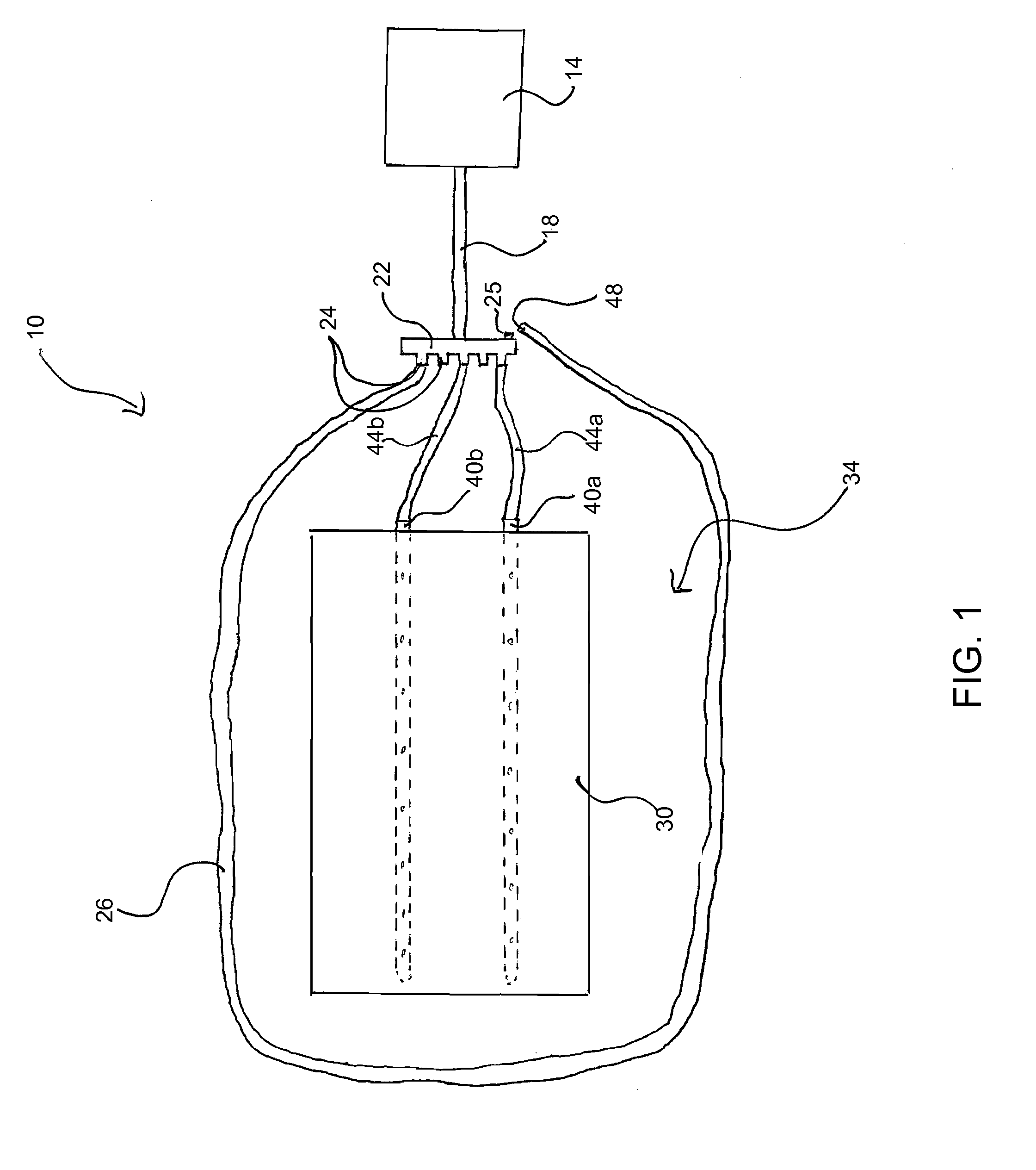 System and Method for Killing Bed Bugs and Other Insects