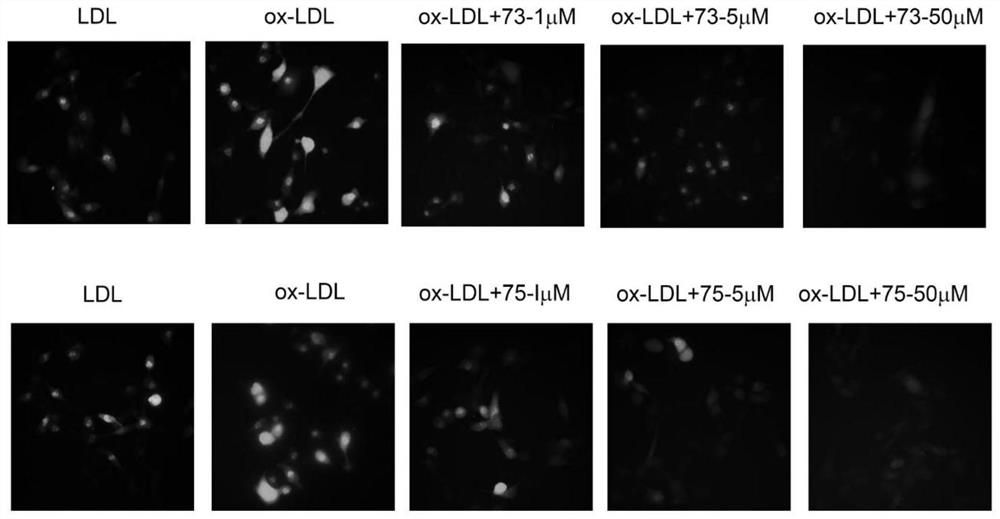 Uses of flavonoids of marine fungal origin