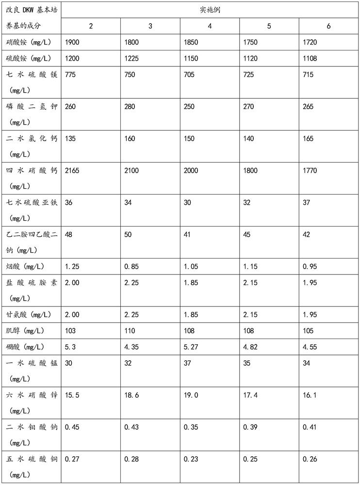 A kind of rooting culture and seedling raising method of Thorn elm tissue culture seedling