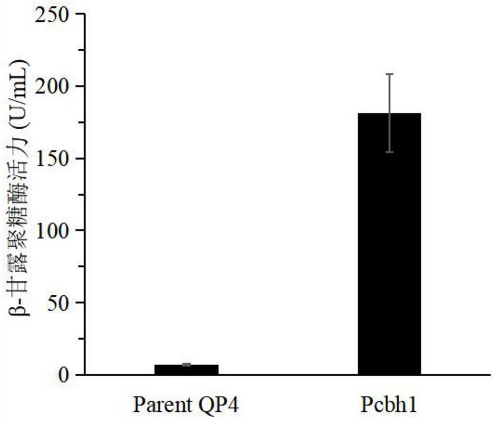 A kind of Trichoderma reesei cbh1 gene promoter mutant and its construction method and application