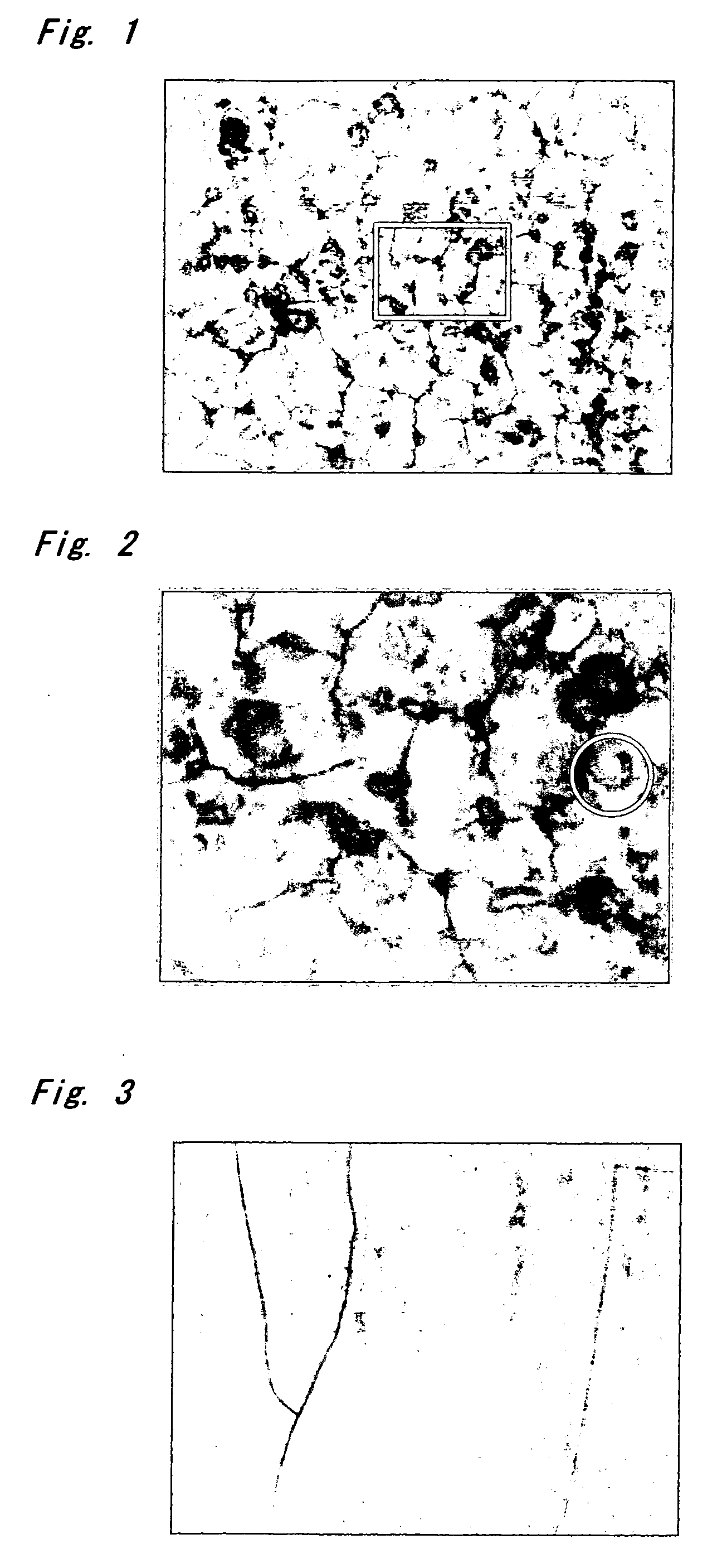 Catalyst support and method of producing the same