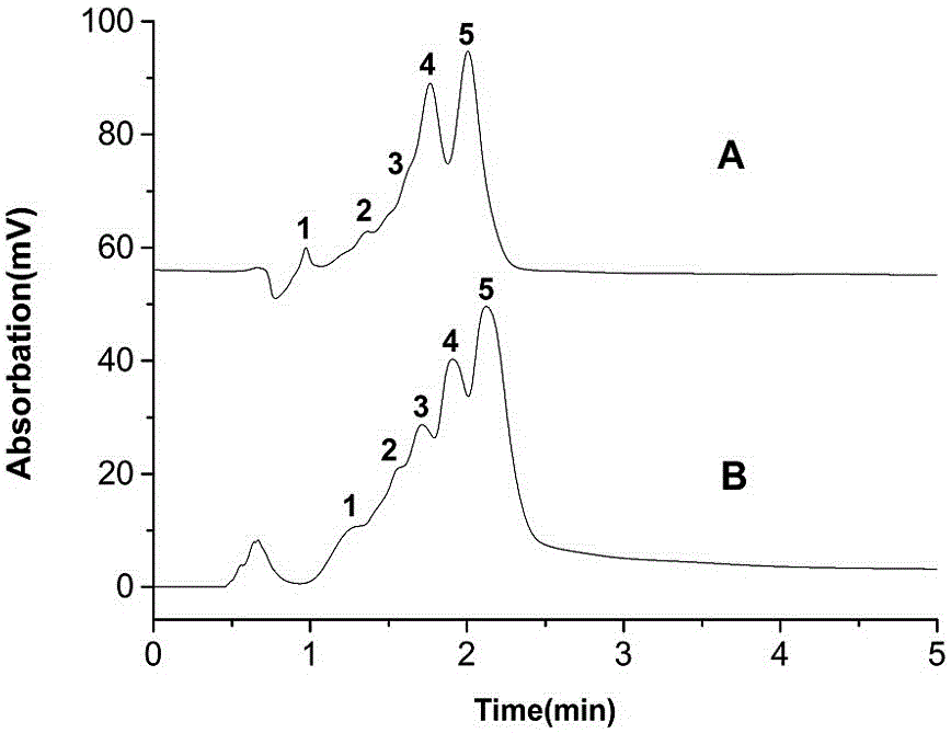 Preparation method of inorganic nanoparticle/polymer-based composite monolithic column