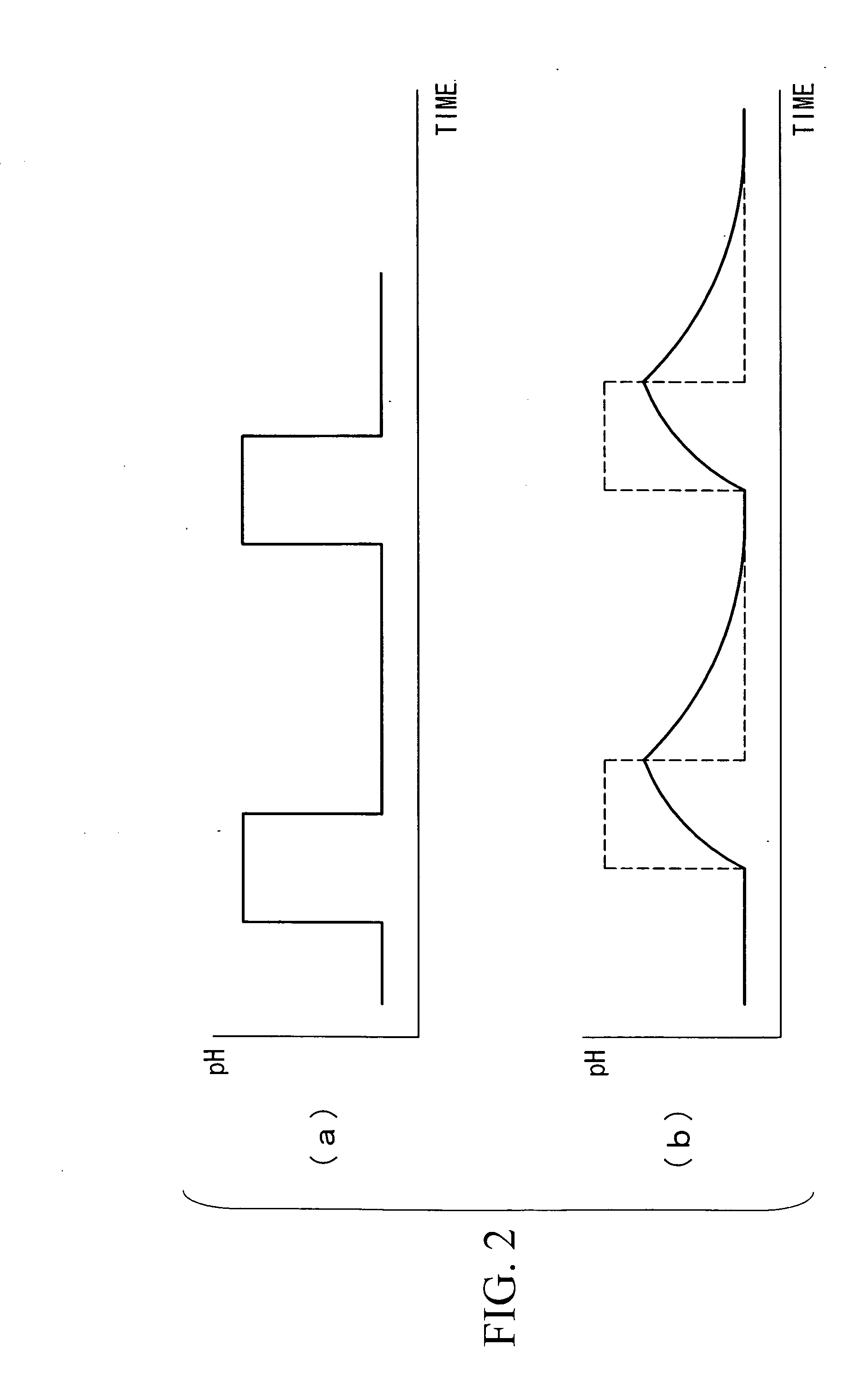 Water Treatment Process for Steam Plant